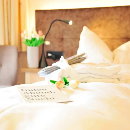 Alpin Buendnerhof Hotell Samnaun