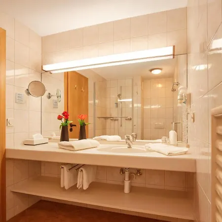 Hotell Alpin Buendnerhof 3*